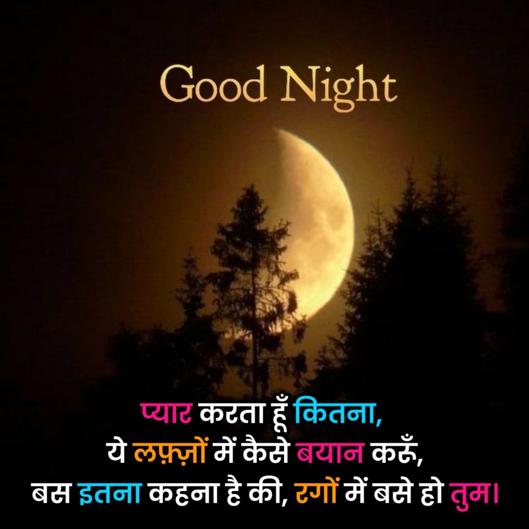 Good Night Shayari in Hindi